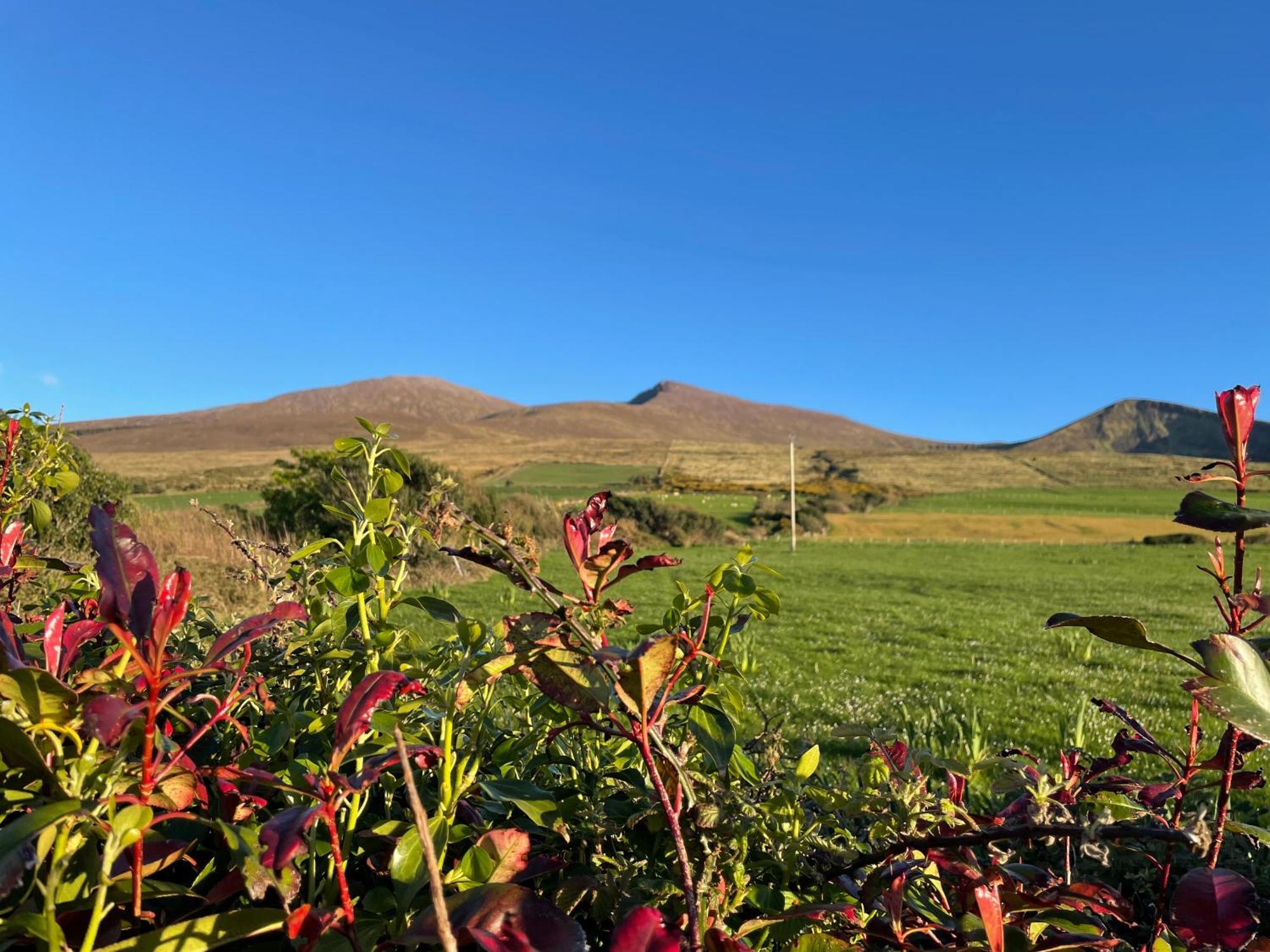 Beenoskee Bed&Breakfast Castlegregory Buitenkant foto